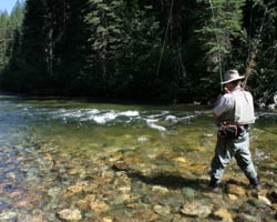 Fly fisher with trout on line while fishing the Birkenhead River