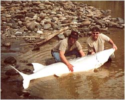 Mark and Brad with huge Sturgeon